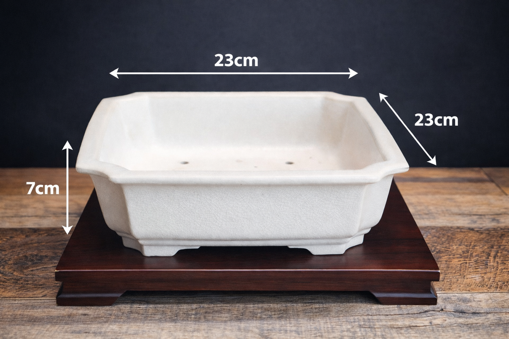 White Crackle Bonsai pot 22x22x7 Cm