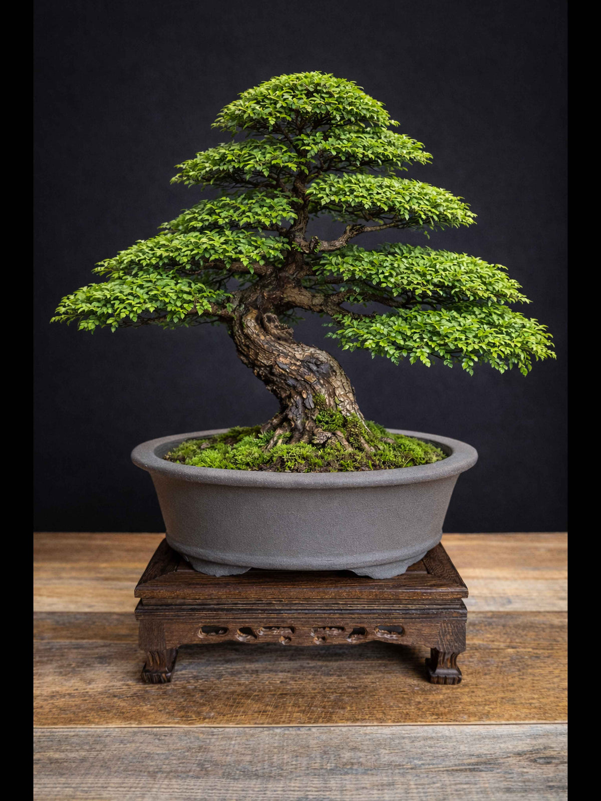 Oval unglazed stone affect bonsai pot 23x16x8 cm
