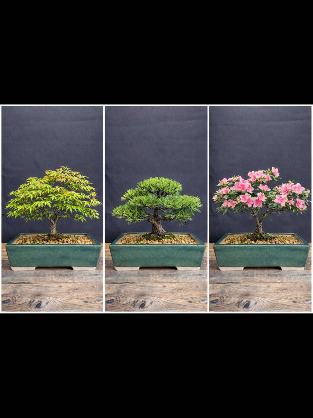 Large Green glazed rectangular bonsai pot 32x24x10