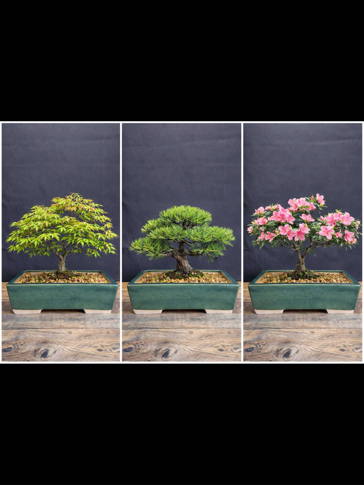 Large Green glazed rectangular bonsai pot 32x24x10