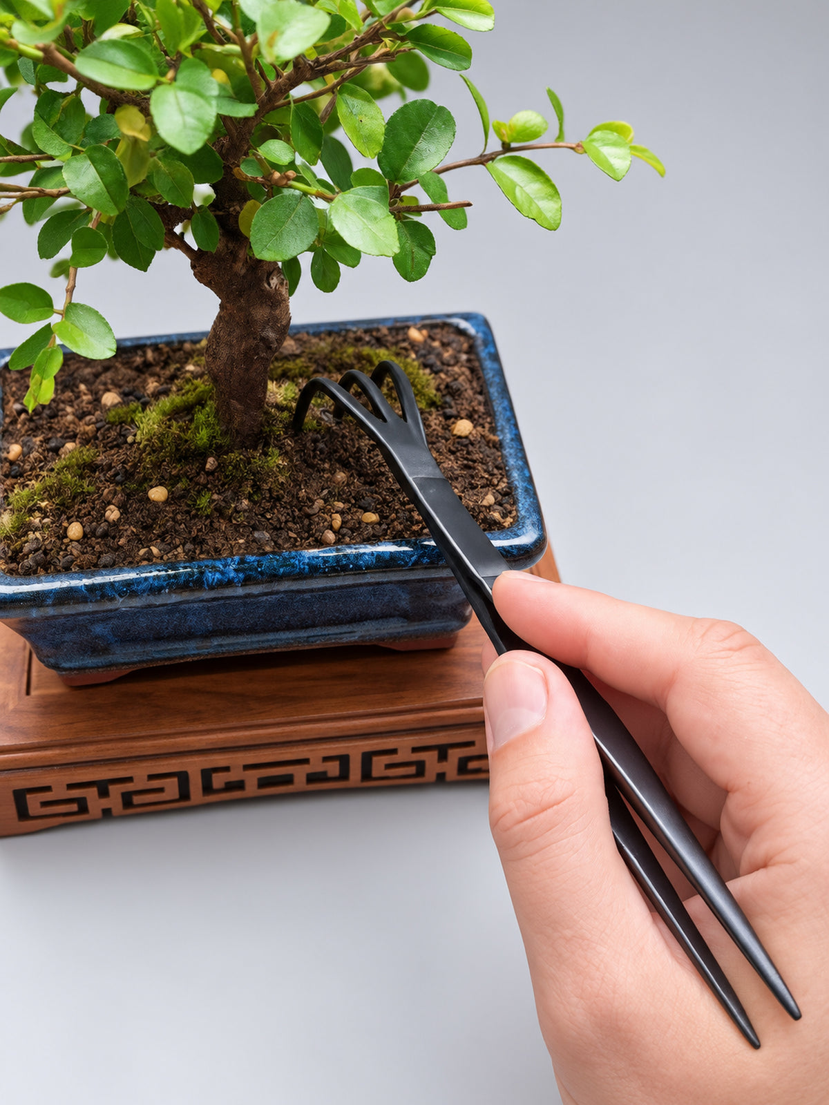 Bonsai Tweezers & Root Rake – 2-in-1 Bonsai Tool