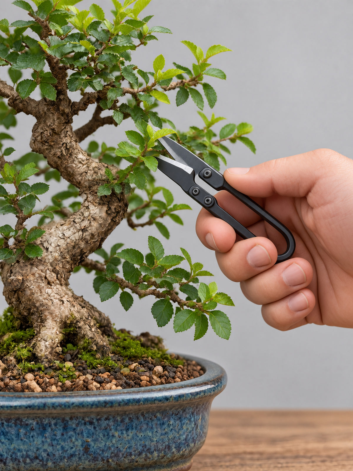 Compact Bonsai Leaf Secateur – Precision Trimming Scissors