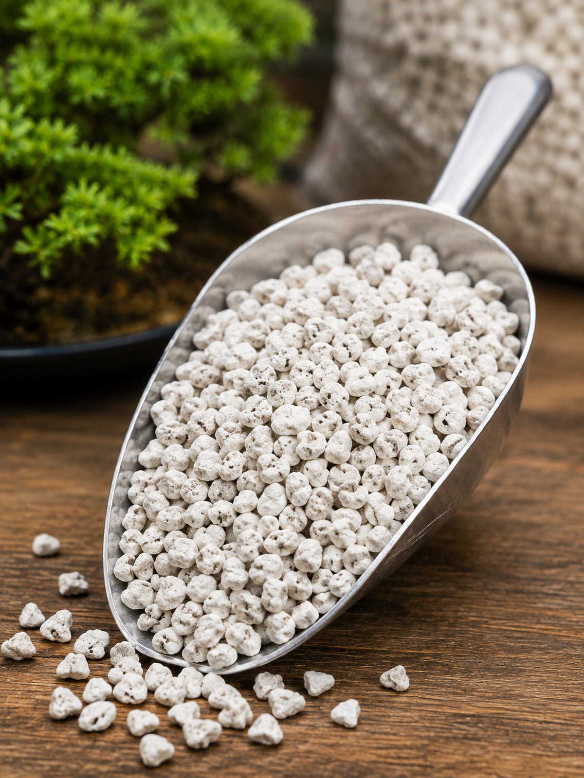 14L bag of Japanese Pumice